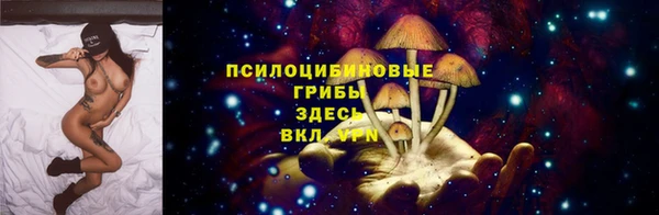 a pvp Горнозаводск