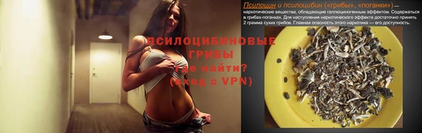 a pvp Горнозаводск