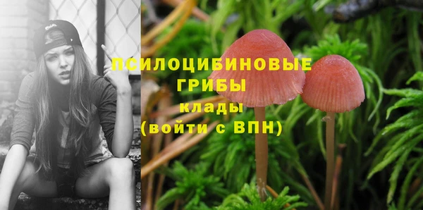 наркотики Горно-Алтайск